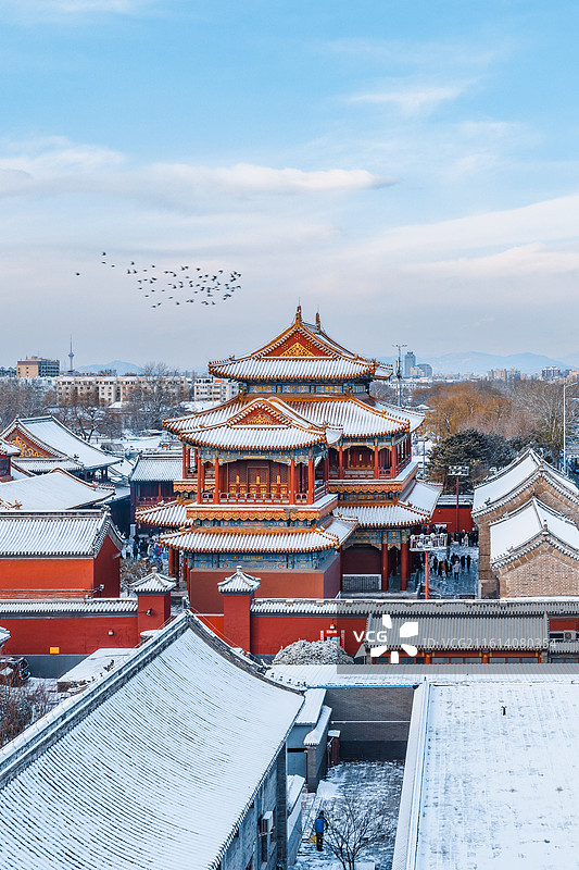 冬季的雪景图片素材