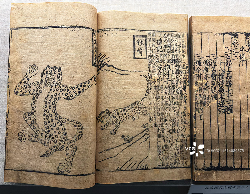 杭州奥莱美术馆展出元大德六年刻本经史证类大观本草三十一卷目录一卷图片素材