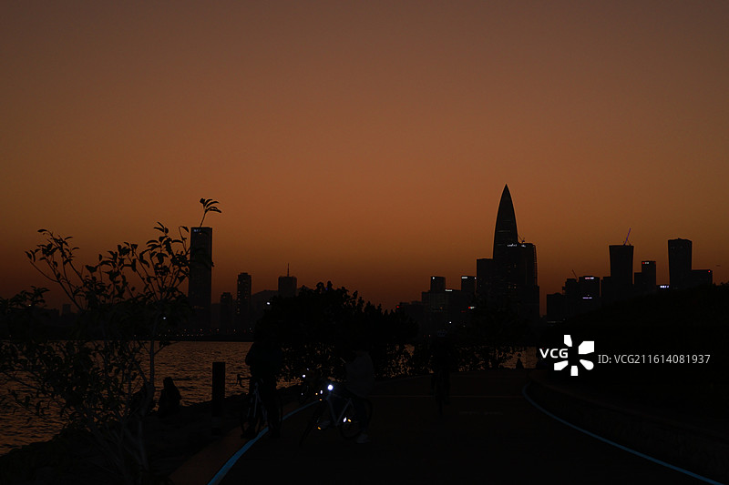 深圳湾公园 海鸥 日落图片素材