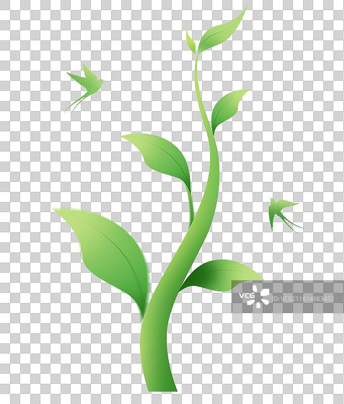 燕子和生长的绿色叶子插画元素图片素材