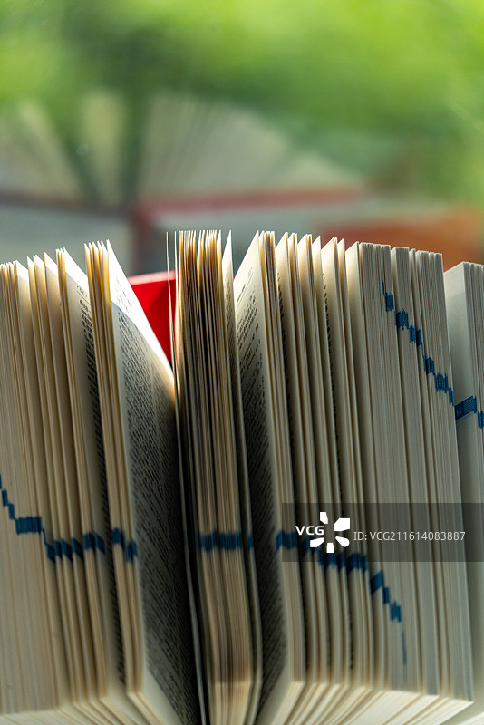 纯绿色虚化背景中窗台上的成语大词典新英汉汉英词典新华汉语词典工具书特写镜头图片素材