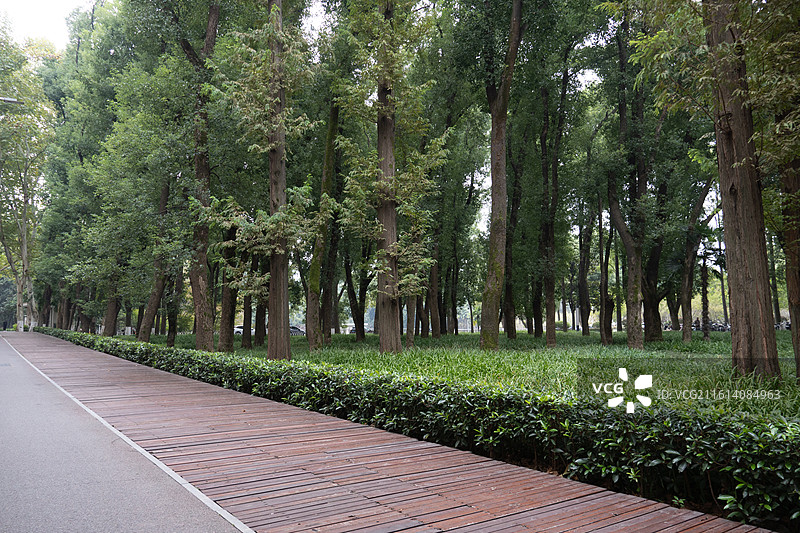 武汉各大景点美照长江古德寺博物馆大江大河图片素材