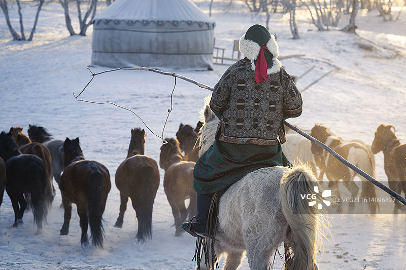 内蒙古乌兰布统牧民与马图片素材