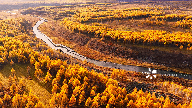 金秋阿尔山不冻河层林尽染图片素材