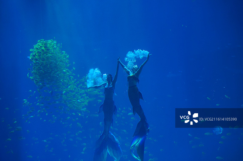 深圳小梅沙海洋馆海洋世界图片素材