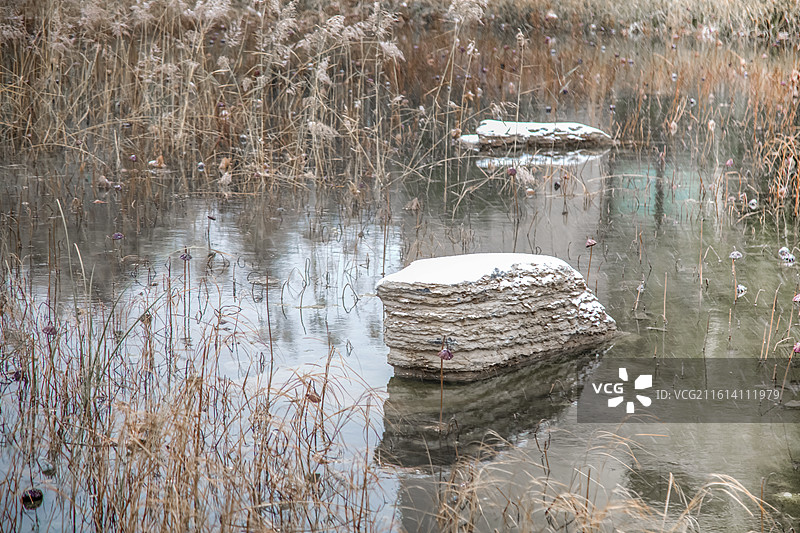 冬季池塘雪景图片素材