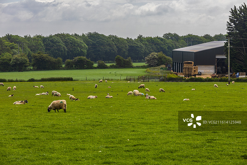 英国科茨沃尔德乡村图片素材