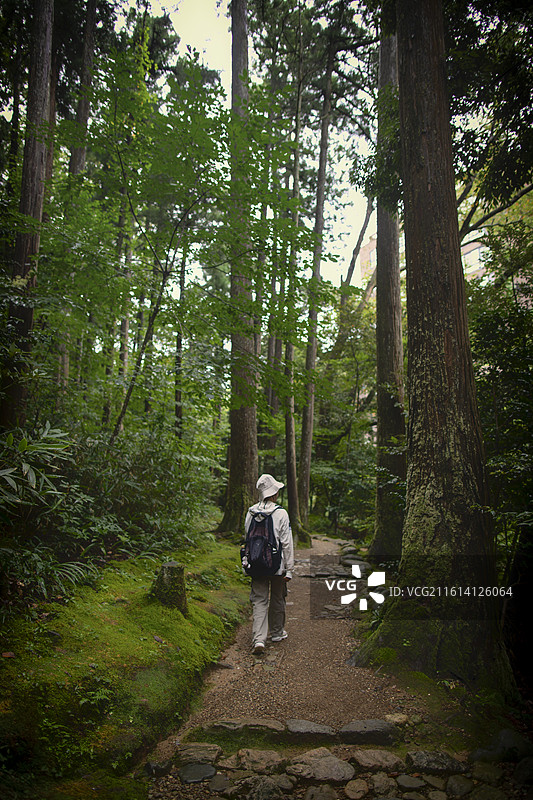 日本石川县加贺温泉乡的徒步道的风光图片素材
