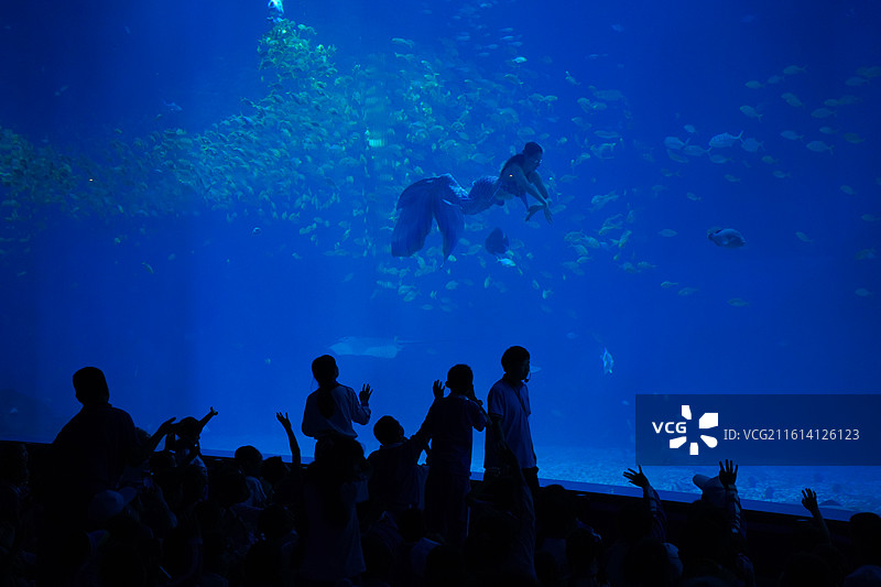 深圳小梅沙海洋馆海洋世界图片素材
