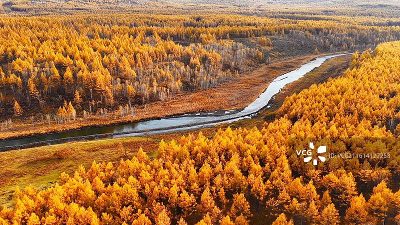 金秋阿尔山不冻河层林尽染图片素材