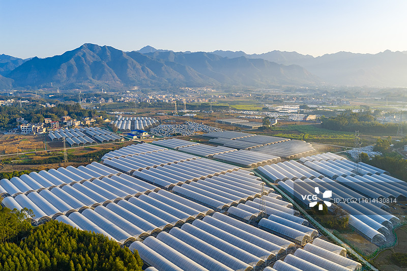 中国广西梧州蒙山乡村田园晨曦晨雾日出风光图片素材