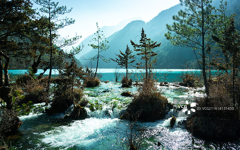 九寨沟熊猫海图片素材