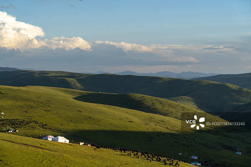 四川阿坝夏日草原美景图片素材
