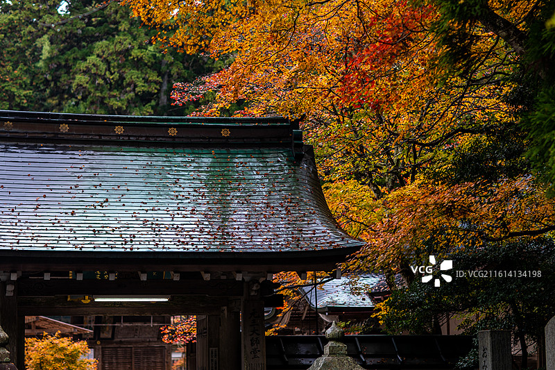 日本滋贺县比叡山的秋季风光图片素材