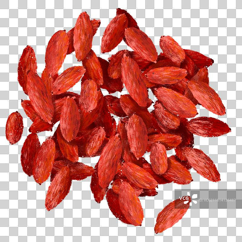 手绘中药材中草药稀有药材天然草药本草纲目-枸杞图片素材