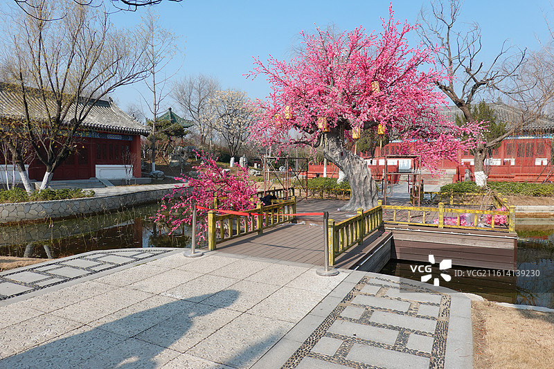 河南省开封市开封铁塔公园：祐国寺塔开宝寺塔天下第一塔：灵感院园林假花假树造型图片素材