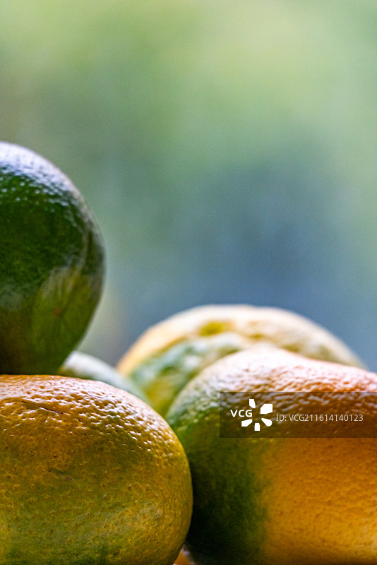 绿色虚化背景中桌上盘子里的橘子桔子水果特写镜头.黄岩蜜桔石门蜜橘哪个更好吃图片素材