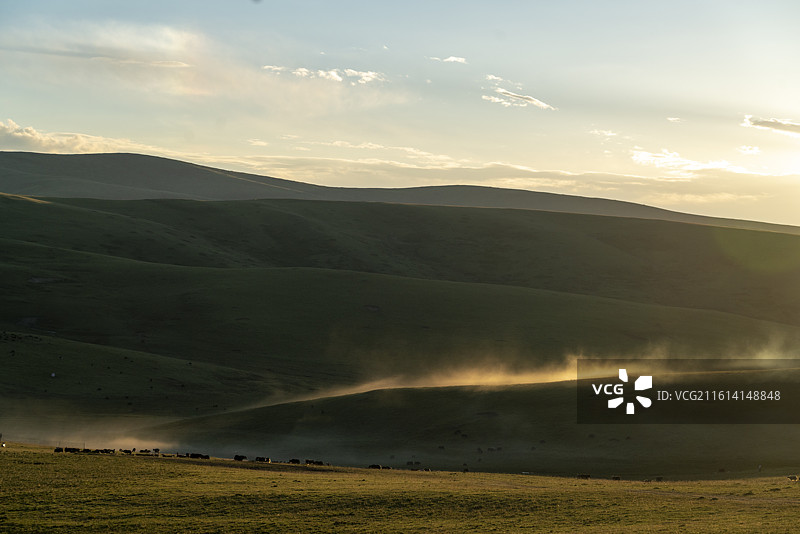 四川阿坝夏日草原美景图片素材