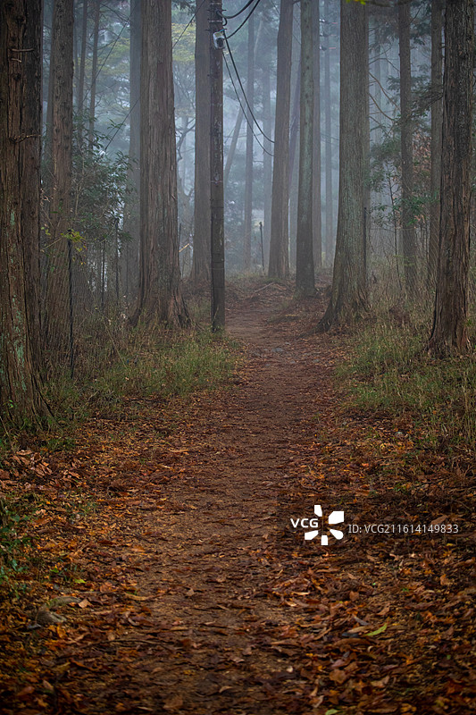 日本滋贺县比叡山的秋季风光图片素材