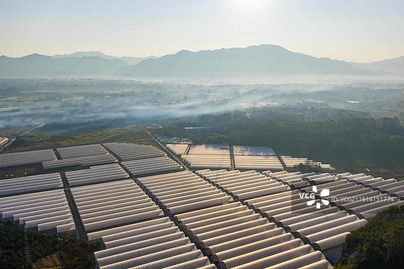 中国广西梧州蒙山乡村田园晨曦晨雾日出风光图片素材