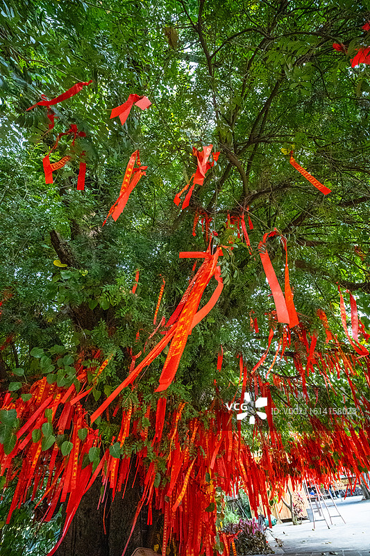 临沧双江县景亢傣族民族民俗风情村的许愿树图片素材