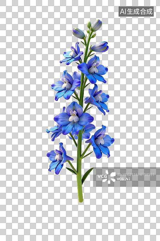 【AI数字艺术】蓝色飞燕草花朵特写图片素材