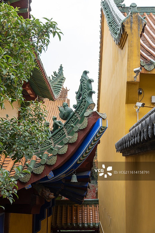 武汉各大景点美照长江古德寺博物馆大江大河图片素材