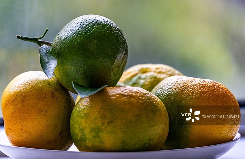 绿色虚化背景中桌上盘子里的橘子桔子水果特写镜头.黄岩蜜桔石门蜜橘哪个更好吃图片素材