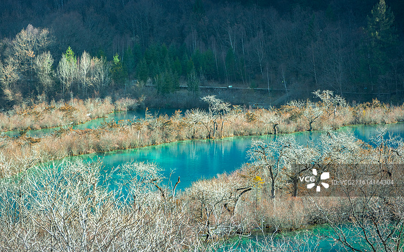 九寨沟树正群海图片素材
