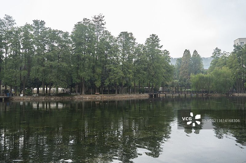 武汉各大景点美照长江古德寺博物馆大江大河图片素材