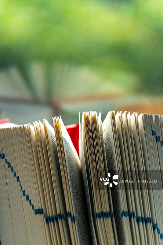 纯绿色虚化背景中窗台上的成语大词典新英汉汉英词典新华汉语词典工具书特写镜头图片素材