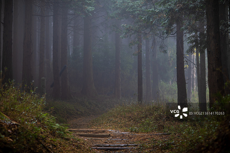 日本滋贺县比叡山的秋季风光图片素材
