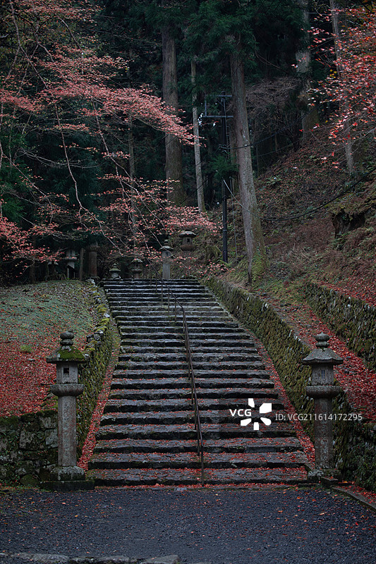 日本滋贺县比叡山的秋季风光图片素材