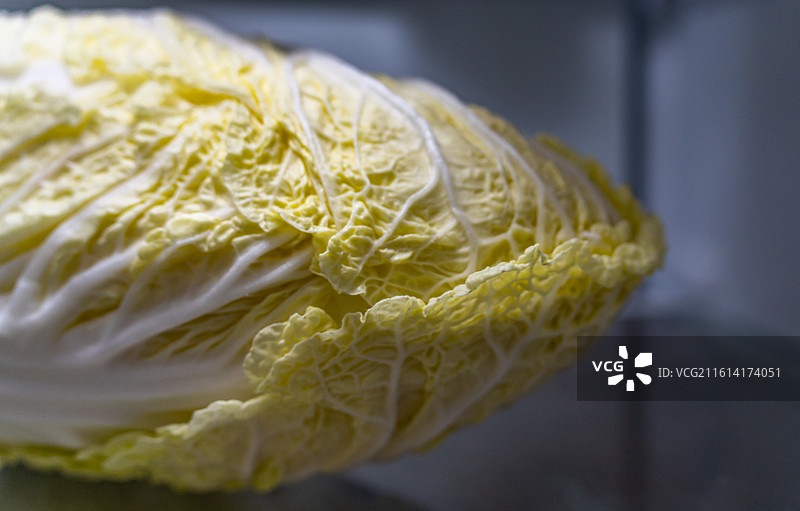 冰箱里的白菜蔬菜卷心白菜特写图片素材
