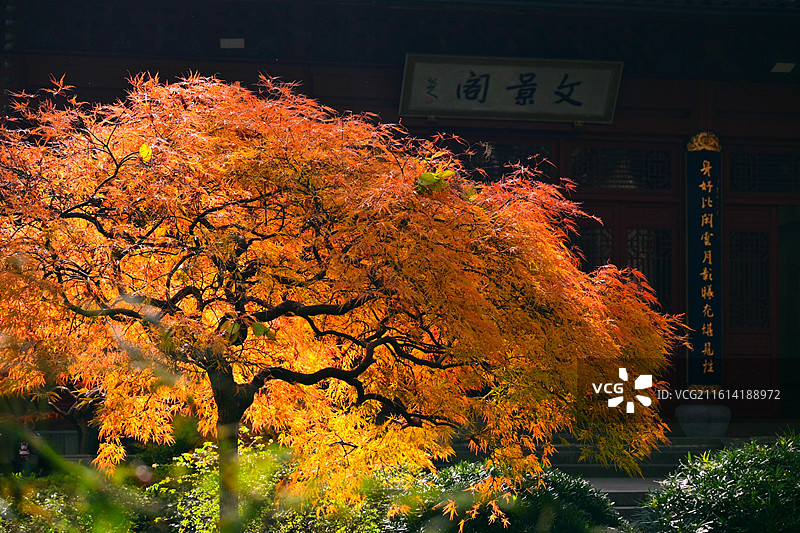 文景阁图片素材
