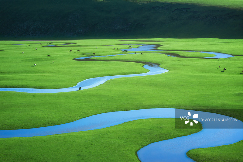 呼伦贝尔大草原莫尔格勒河畔图片素材