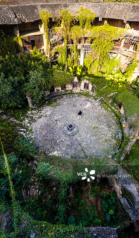 野蛮生长的土楼图片素材