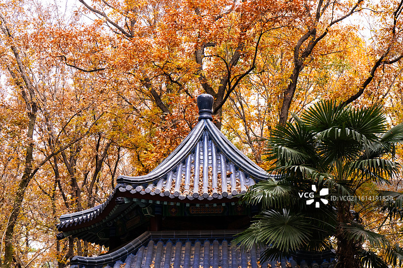 南京市灵谷寺灵响亭图片素材