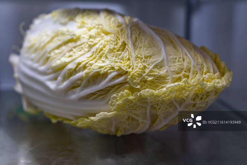 冰箱里的白菜蔬菜卷心白菜特写图片素材