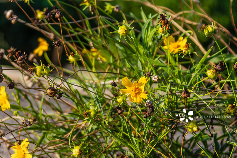 无人,高山,风景,天空,地形,自然美,自然,4K分辨率,云,户外,宁静,白昼,环境,树,旅行,生长,图片素材
