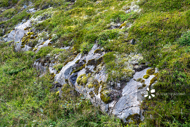 挪威诺尔兰郡埃沃内斯通往雷纳的公路自然风光图片素材