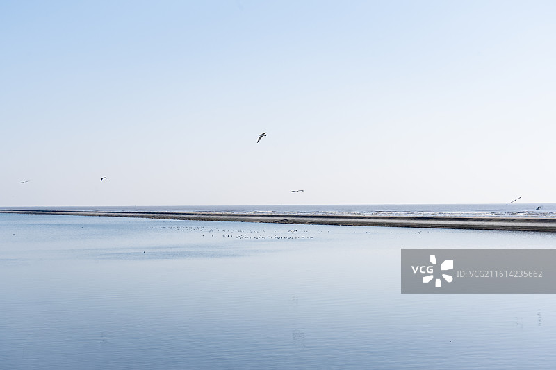 碧海蓝天与飞翔的海鸥，南通启东圆陀角景区风景图片素材