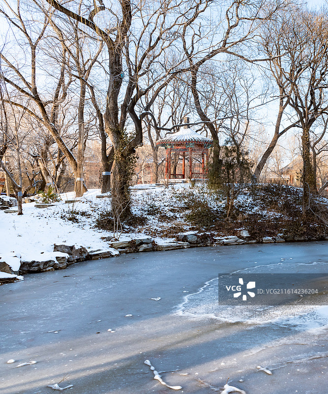 燕园风景：冬天雪后北京大学朗润园图片素材