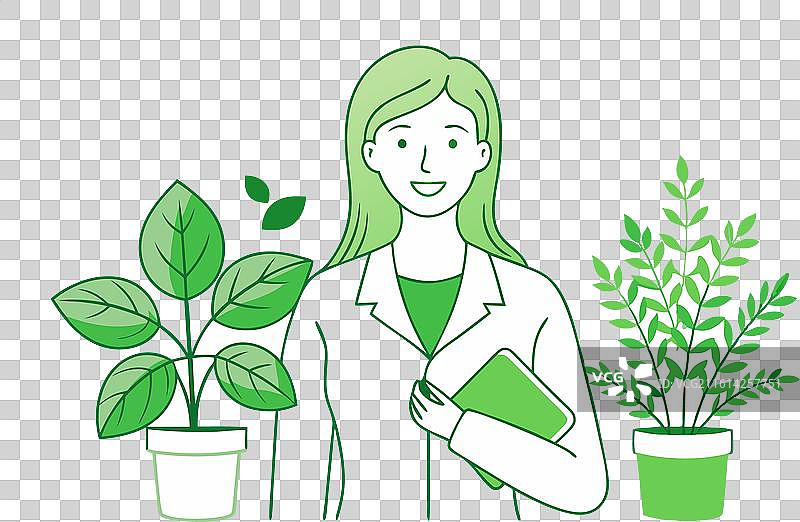 香草医生 薄荷 罗勒 盆栽图片素材