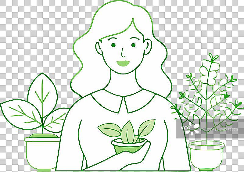 医生香草薄荷罗勒盆栽图片素材