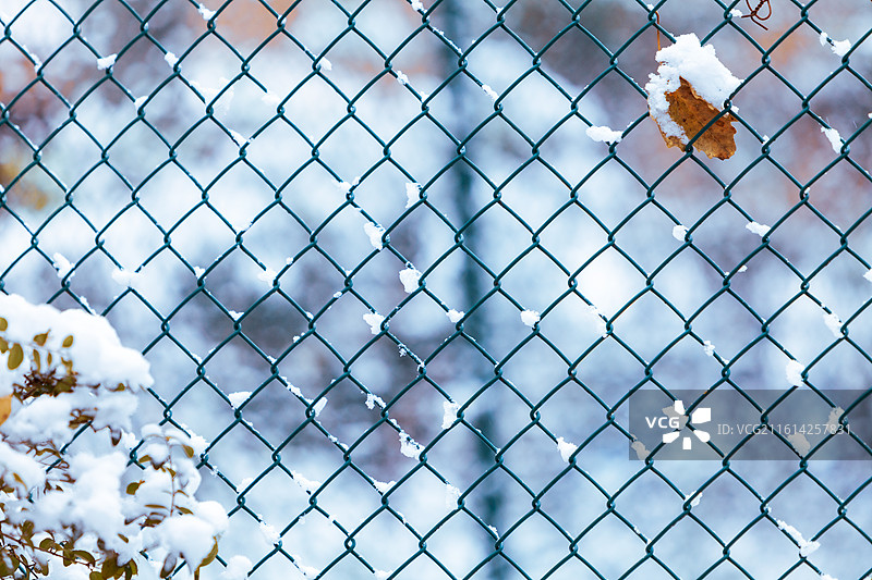 公园球场的铁丝网围栏下雪后积攒的白雪天气寒冷空气清新蓝色背景图片素材