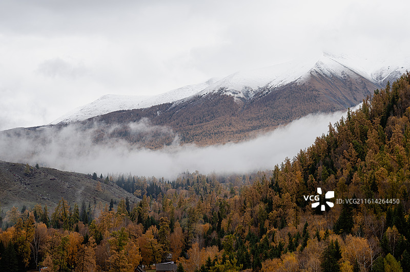 秋日阿勒泰白哈巴哈萨克边境的云海图片素材