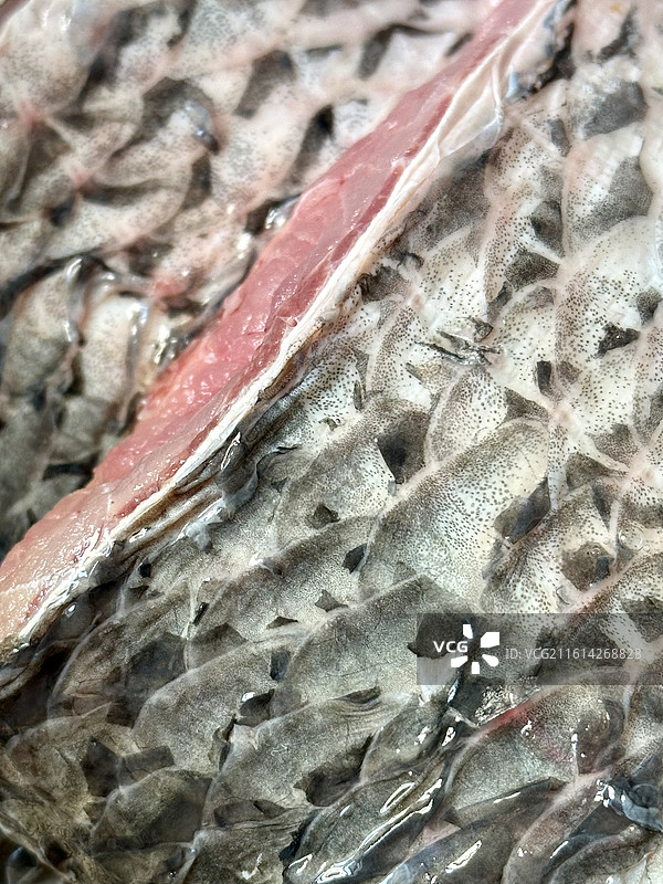 青鱼块图片素材