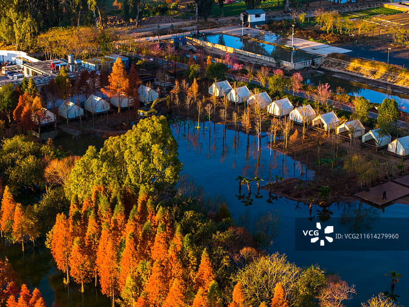 云南省玉溪市江川区星云湖湿地风光图片素材