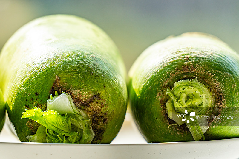 绿色虚化背景中的水果萝卜青萝卜特写镜头.天津沙窝萝卜与潍坊萝卜的不同图片素材